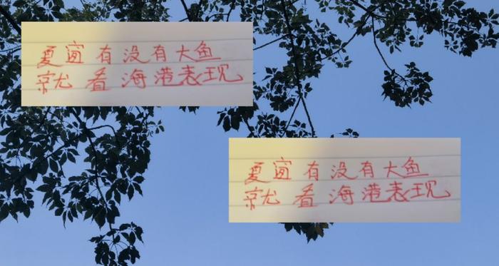 开云-深圳 申花 云南 浙江都引进外援国脚 夏窗还没有大鱼 就看海港了